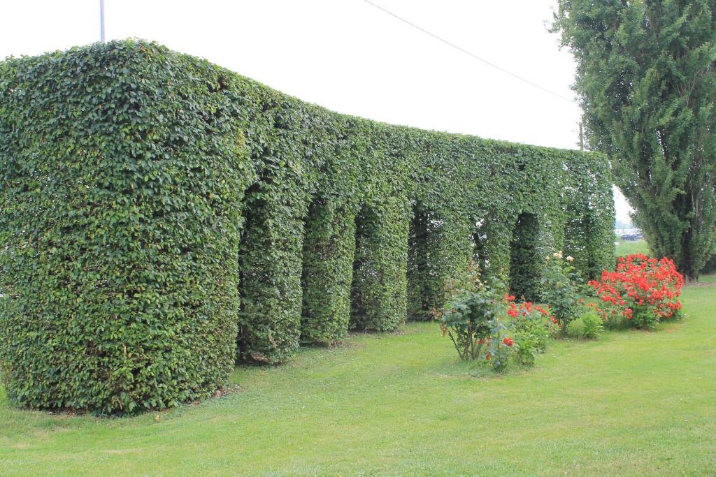 Villa Belvedere 1849 Misano di Gera d'Adda Экстерьер фото