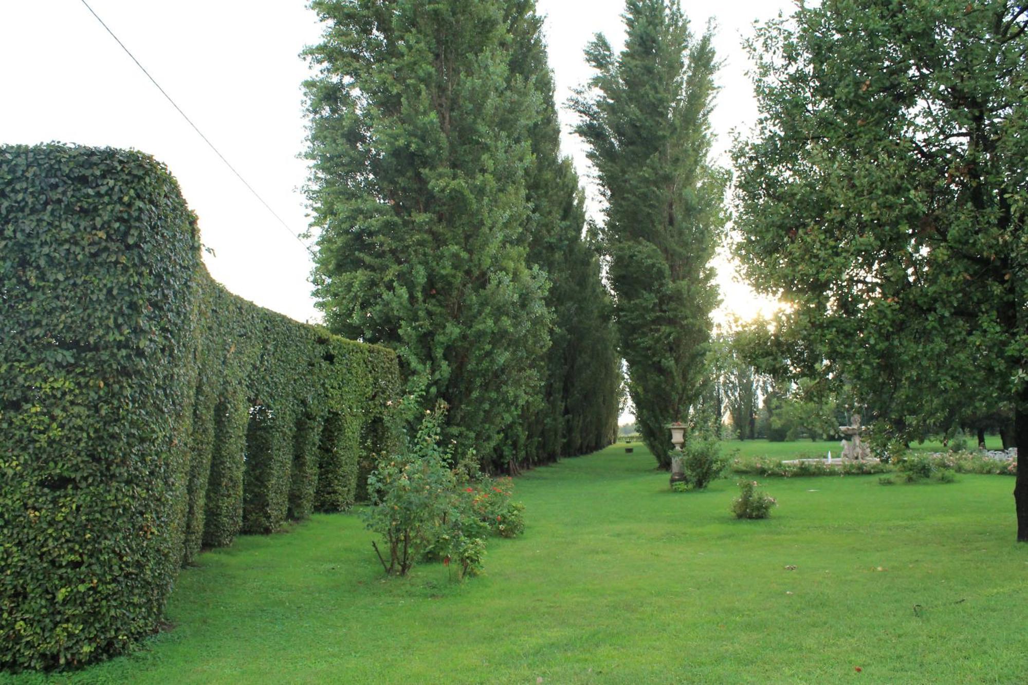 Villa Belvedere 1849 Misano di Gera d'Adda Экстерьер фото